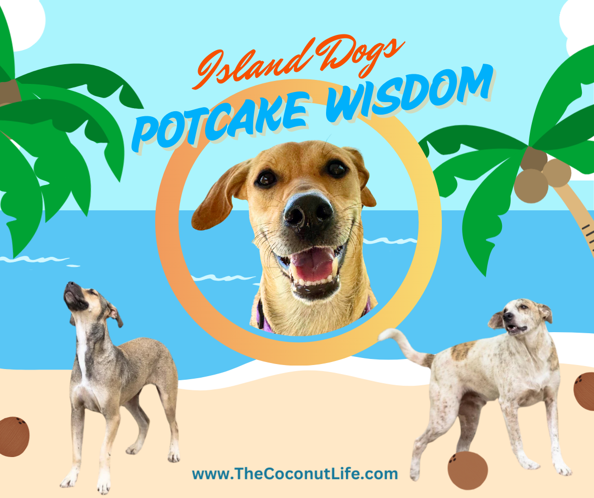 Island dogs playing on a cartoon beach with coconuts.