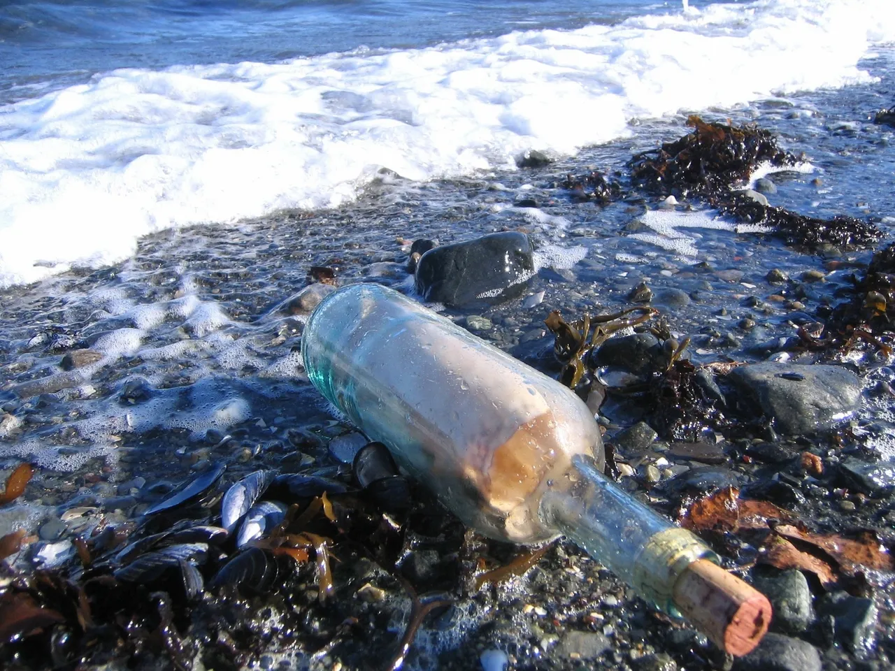 A message in a bottle reaches shore.
